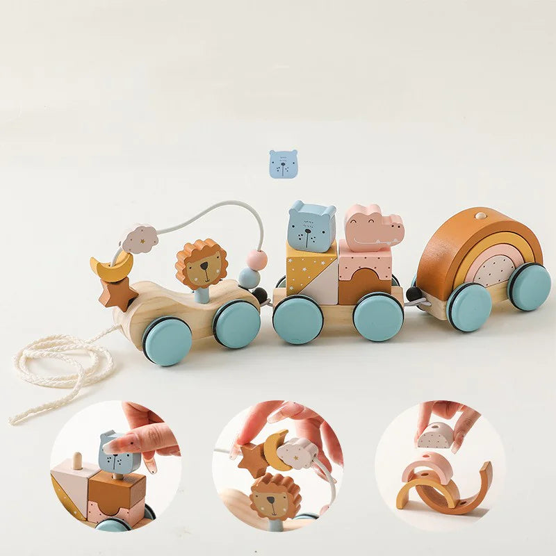 Wooden Walking Companion