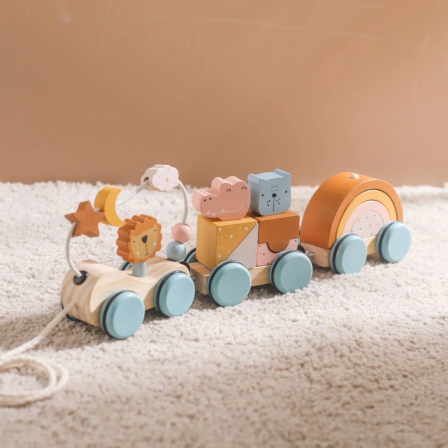 Wooden Walking Companion
