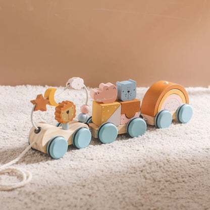 Wooden Walking Companion